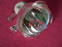 Infocus C315-----c(din)Ŵ